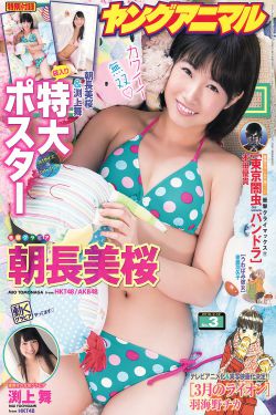 花蝴蝶免费版高清版